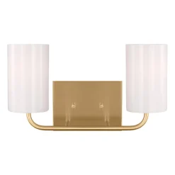 Akita Vanity Light - 2 Light