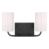 Akita Vanity Light - 2 Light