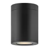 Alistair Outdoor Ceiling Light