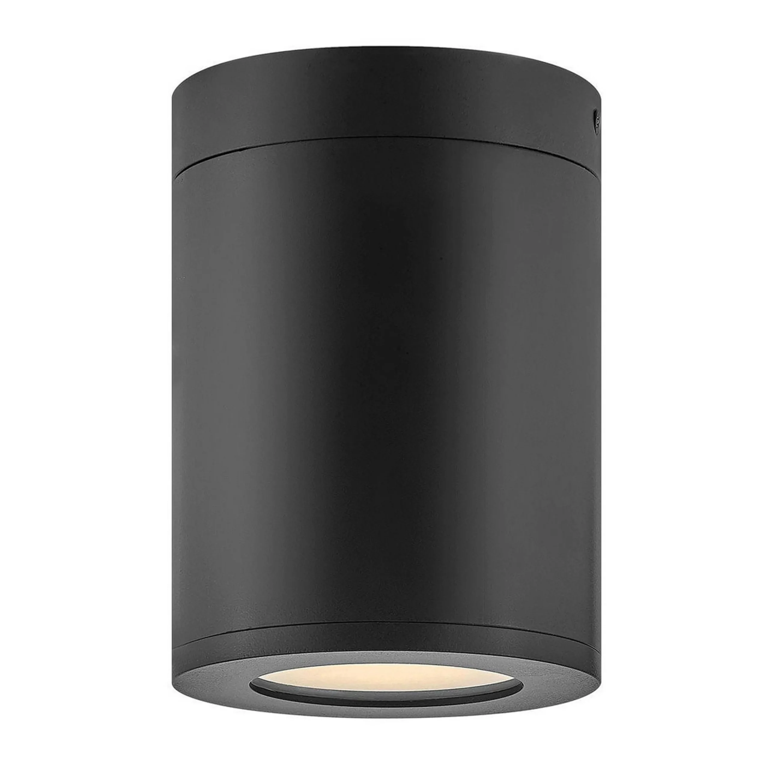 Alistair Outdoor Ceiling Light