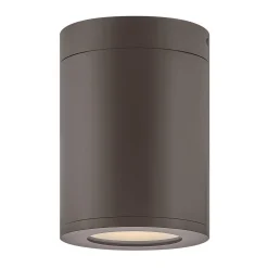 Alistair Outdoor Ceiling Light