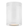 Alistair Outdoor Ceiling Light