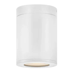 Alistair Outdoor Ceiling Light