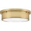 Altus Ceiling Light