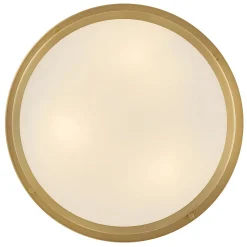 Altus Ceiling Light