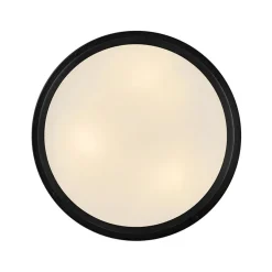 Altus Ceiling Light