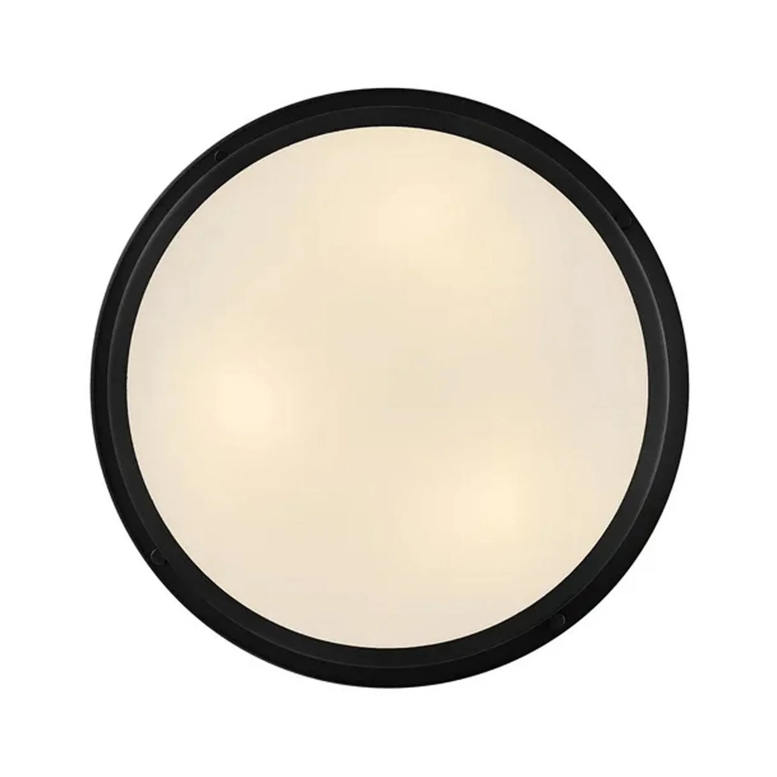Altus Ceiling Light