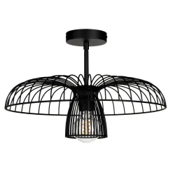 Alyssa Convertible Ceiling Light