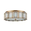 Amvrosiy LED Ceiling Light