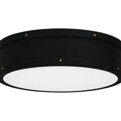 Arleigh LED Ceiling Light