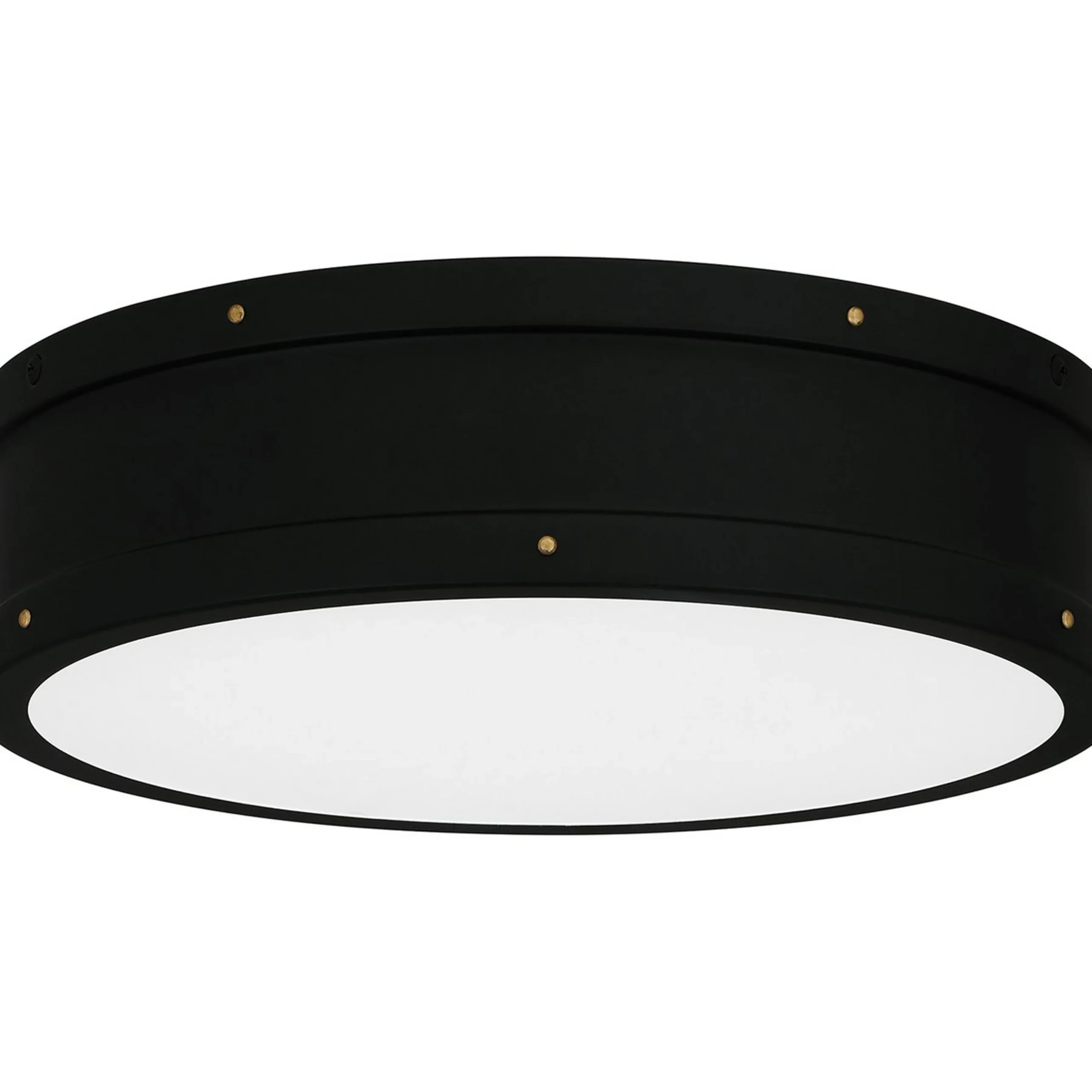 Arleigh LED Ceiling Light