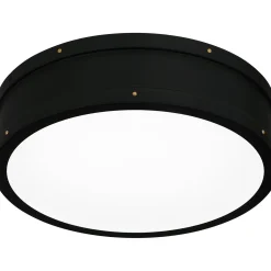 Arleigh LED Ceiling Light