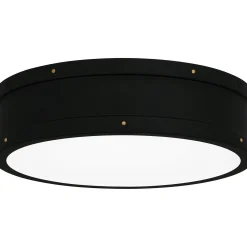 Arleigh LED Ceiling Light