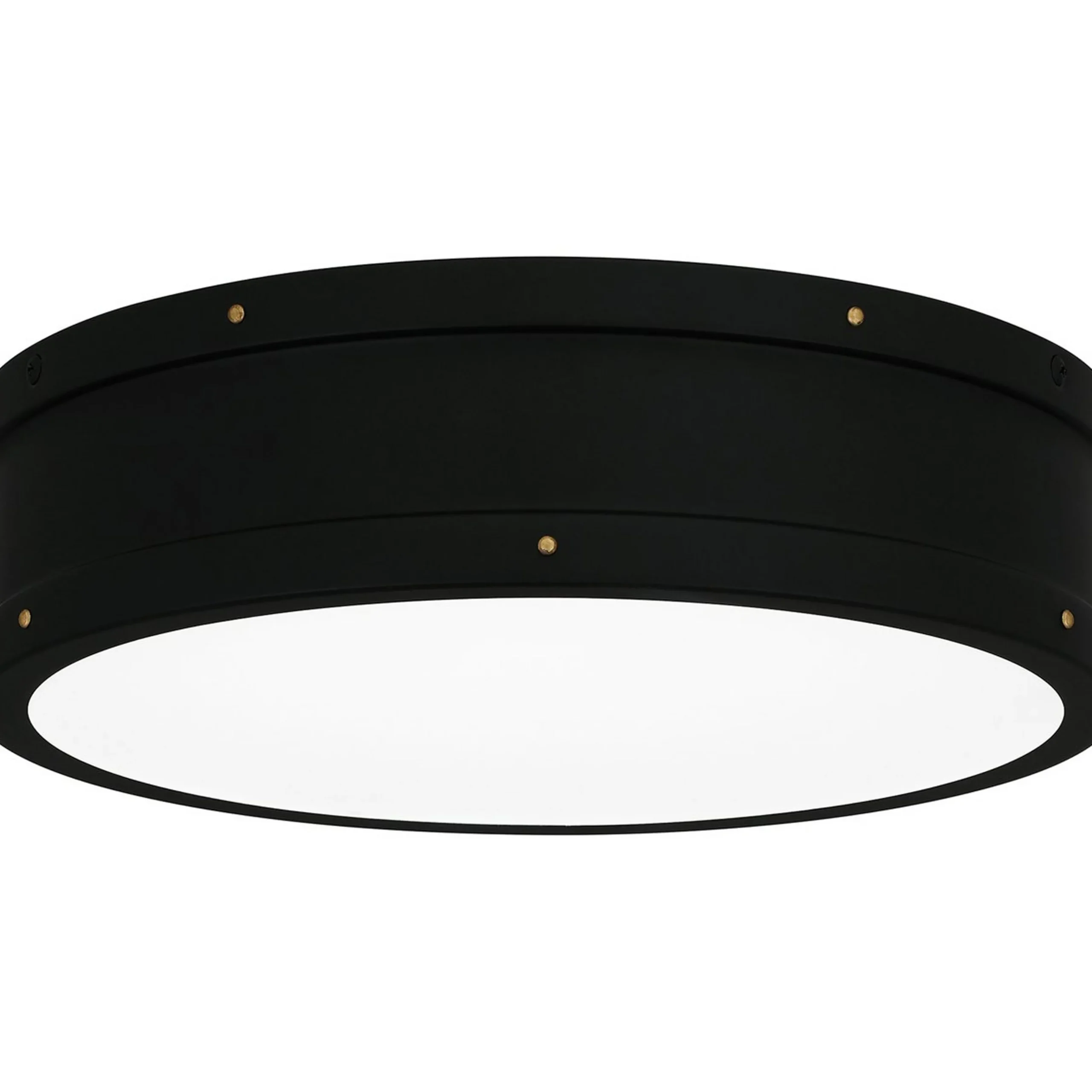 Arleigh LED Ceiling Light