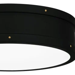 Arleigh LED Ceiling Light