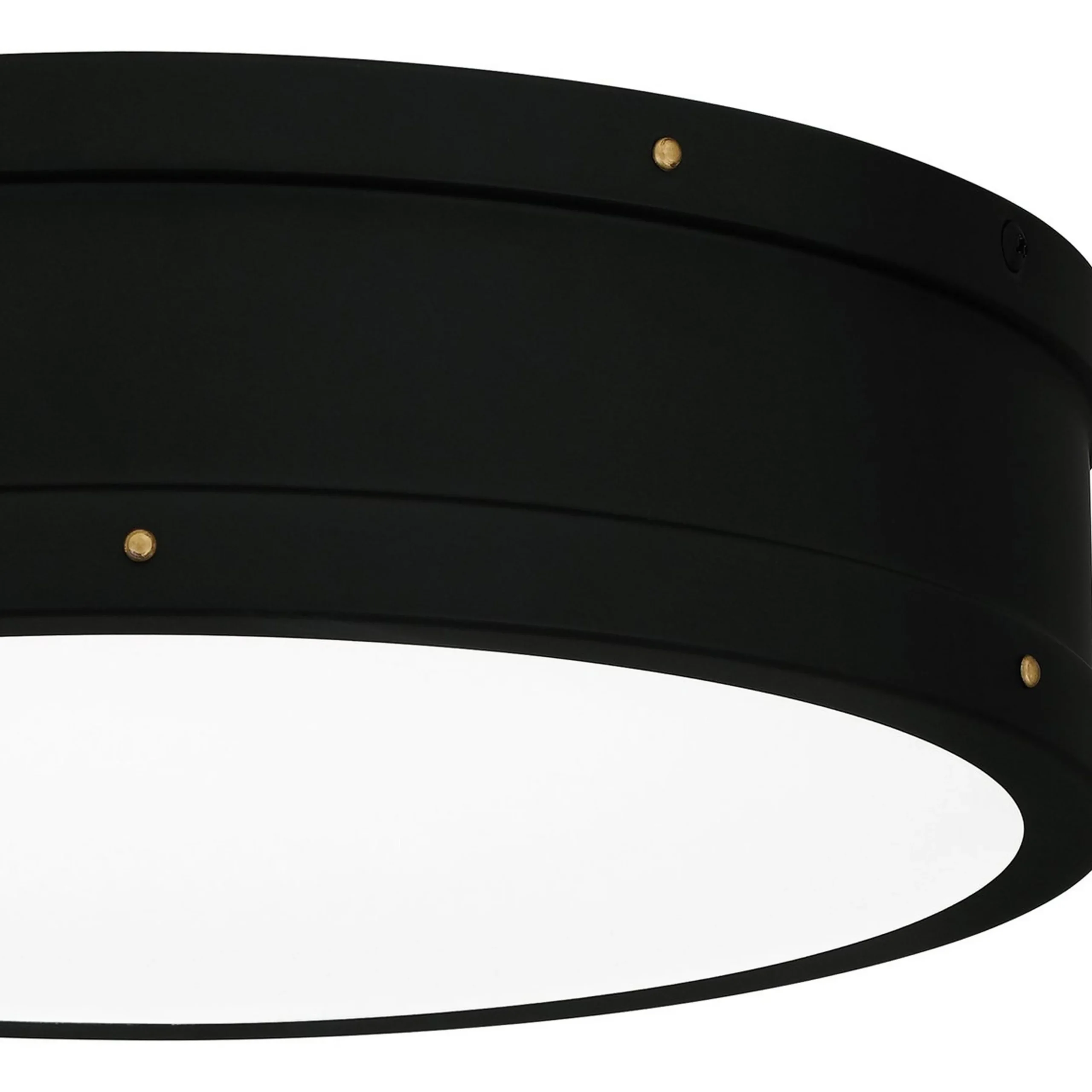 Arleigh LED Ceiling Light