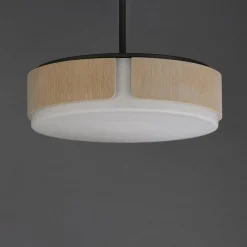 Avenir Convertible Chandelier