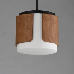 Avenir Convertible Pendant