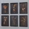 Botanica Noir Prints - Set of 6