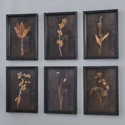 Botanica Noir Prints - Set of 6
