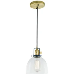 Bryce Pendant - Dome Clear