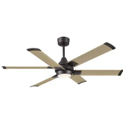 56