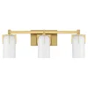Canarsie Vanity Light - 3 Light
