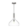 Carigan Pendant - Clear