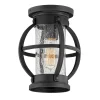 Cary Street Outdoor Ceiling Light