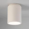 Ceramic Cylinder Ceiling Light - Matte