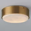 Chantria LED Ceiling Light