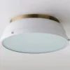 Classic Dome Enameled Ceiling Light
