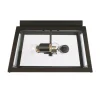 Classic Ilona Outdoor Ceiling Light
