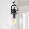 Clear Glass Globe Industrial Pendant
