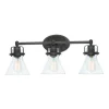 Coastal Flair Vanity Light - 3 Light