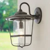 Contemporary Seeded Glass Outdoor Sconce - Medium