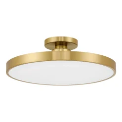 Deandra LED Ceiling Light