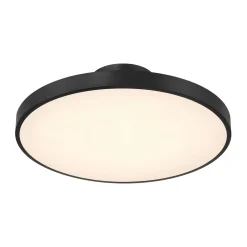 Deandra LED Ceiling Light