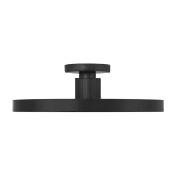 Deandra LED Ceiling Light