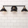 Decor Declaration Vanity Light - 3 Light