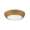 Demeter Rattan Ceiling Light - Small