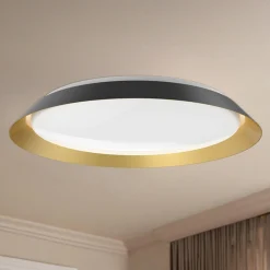 Ebert LED Ceiling Light