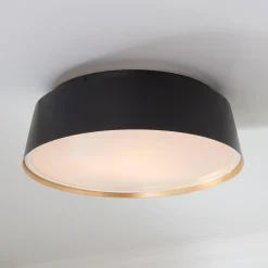 ED Ellen DeGeneres Asher 3 Light Flush Mount
