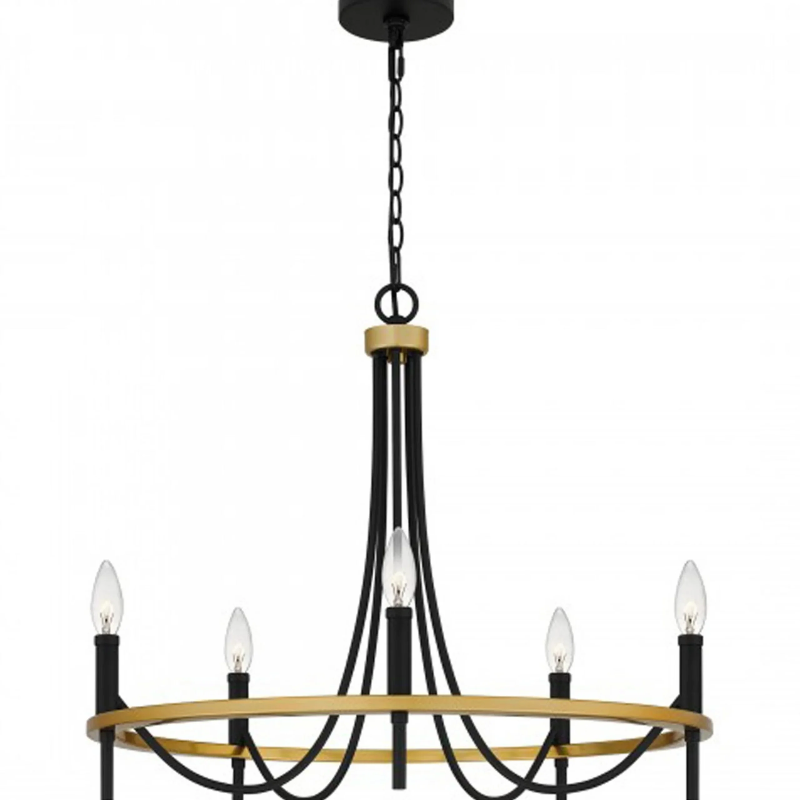 Elaina Swag Chandelier