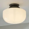 Erin & Ben Co. Gardiner Schoolhouse Ceiling Light