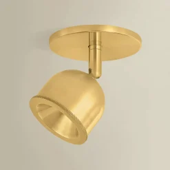 Eris Semi-Flush Convertible LED Ceiling Light