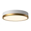 Erwina LED Round Ceiling Light - Small