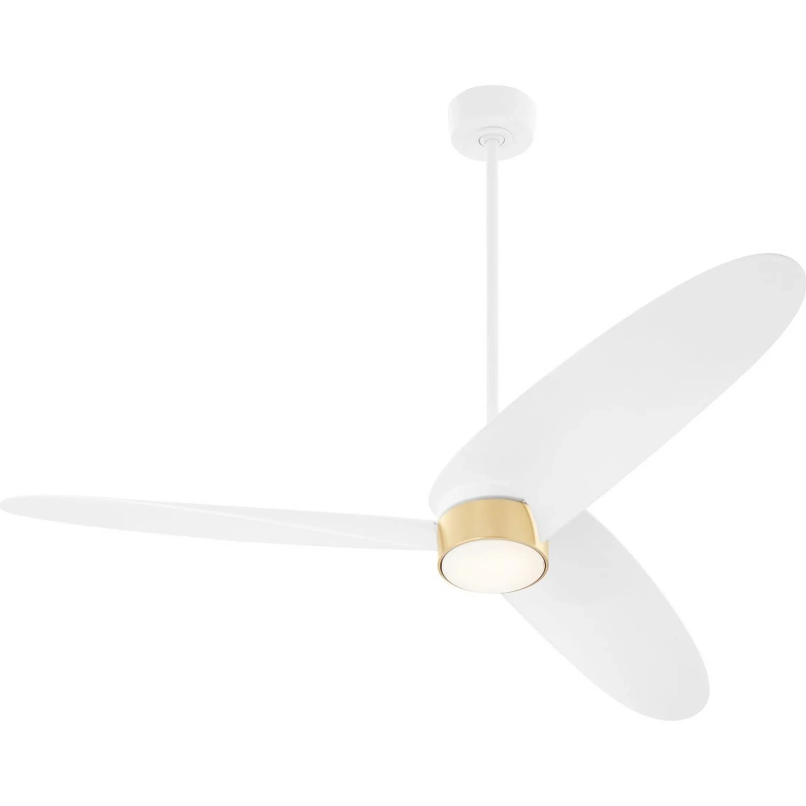 60" Esteli Indoor / Outdoor Smart LED Ceiling Fan