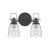 Ethridge Vanity Light - 2 Light