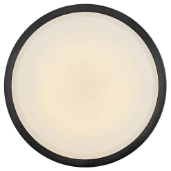 Etude Ceiling Light
